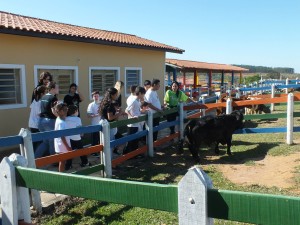 programa-educativo-300x225 Autismo é comum em diversas outras síndromes